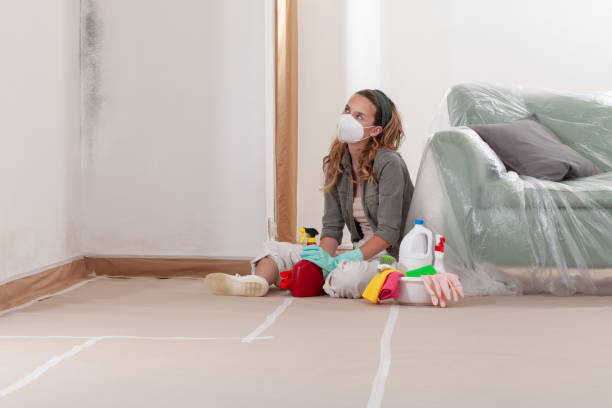 Reliable Mold Cleanup contractor in Pennsauken, NJ by Cheap Mold Removal